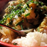 eggscellent lunch: tamago donburi
