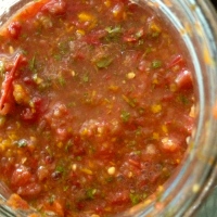 fermented salsa party